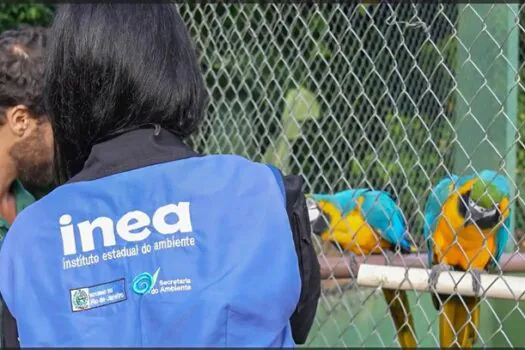 Animais silvestres são resgatados no Rio de Janeiro