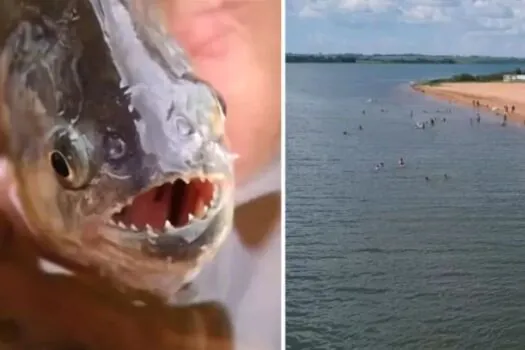 Mais de 10 banhistas são atacados por piranhas em prainha do interior de SP