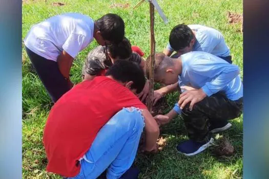 Rio Grande da Serra realiza Plantio Compensatório de mudas de árvores