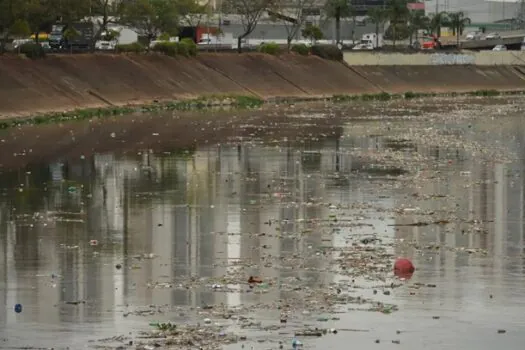 Qualidade da água na Mata Atlântica melhora, mas alerta persiste