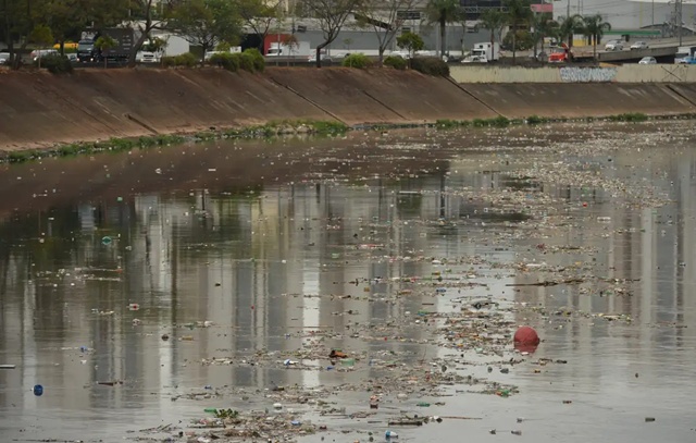 Qualidade da água na Mata Atlântica melhora, mas alerta persiste