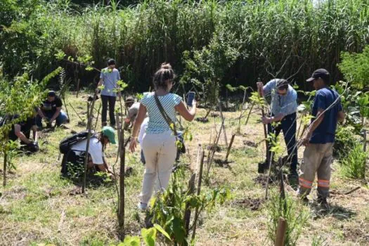 Secretaria de Turismo e Viagens de SP neutraliza emissões de gases de efeito estufa