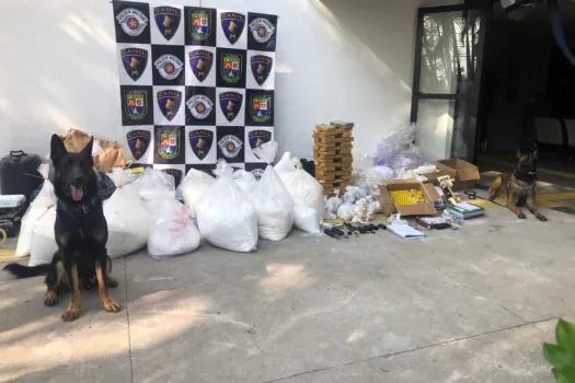 Colt, cão do Baep, encontra mais de 400 kg de cocaína em Paraisópolis