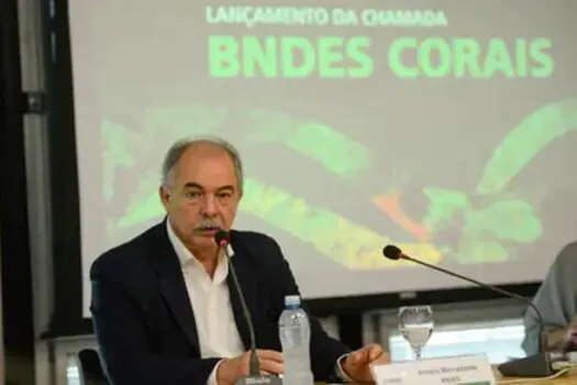 BNDES criará fundo de R$ 60 milhões para preservação de corais