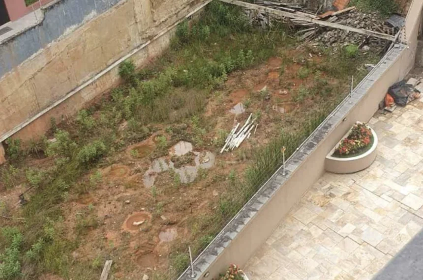 Foto tirada por vizinho do terreno e anexada à segunda denúncia dos focos de dengue