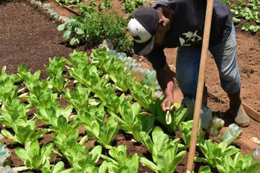 Semasa abre inscrições para curso gratuito de extensão em agroecologia