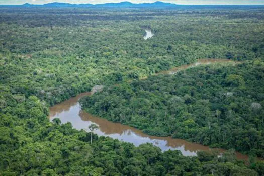 Área de desmatamento ilegal cresce 19% na amazônia em um ano