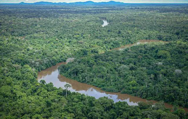 amazonia