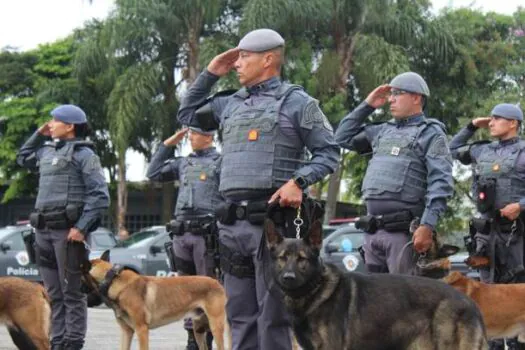 Canil do Caep: cães herdam legado na luta contra o crime no Alto Tietê