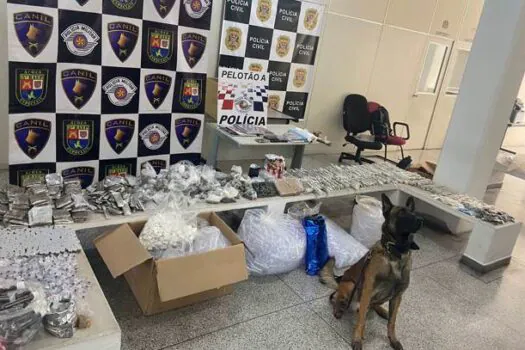 Com cão do Baep, PM encontra 35 kg de drogas em SP