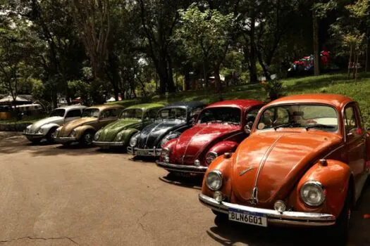 Bosque do Povo terá encontro de carros antigos no domingo