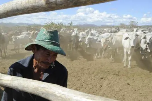 Conheça as atividades produtivas e regiões nas quais produtores rurais poderão renegociar o crédito rural