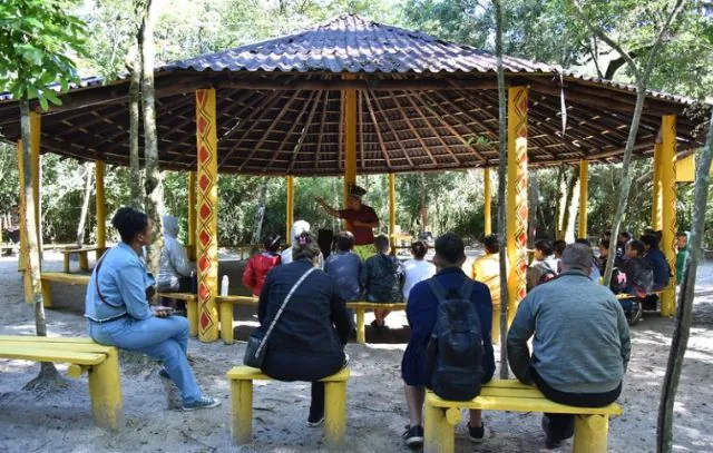 escolas-sp-indigenas