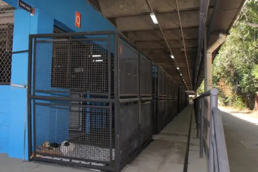 Prefeitura de SP entrega modernização de dependências para animais abrigados