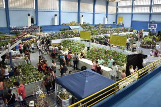 Parque Celso Daniel recebe 48º Festival de Flores neste fim de semana