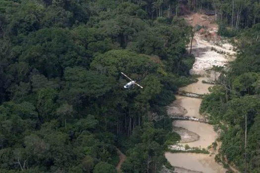 Ibama define nova prioridade para enfrentar perdas na biodiversidade e a crise climática