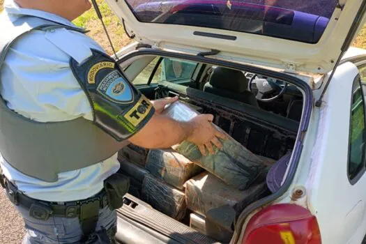 TOR apreende mais de 240 Kg de maconha em Santa Cruz do Rio Pardo