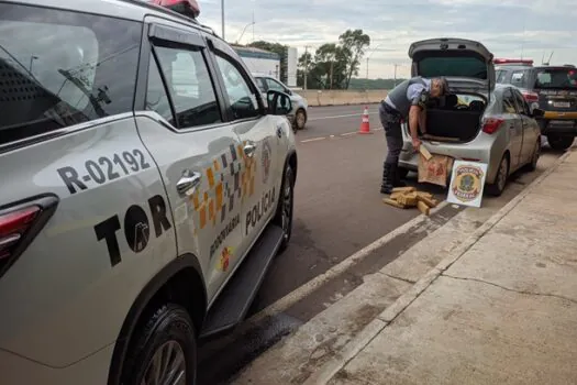 PM Rodoviária prende homem e apreende 300 quilos de maconha em Bauru