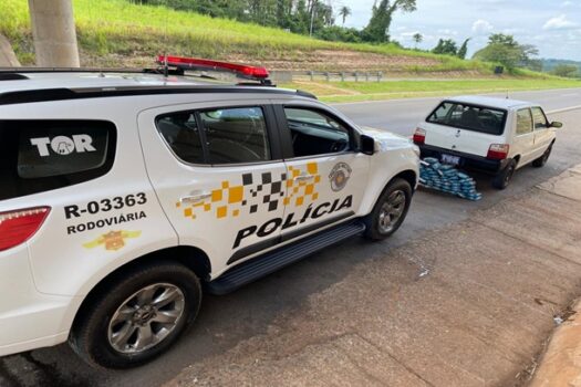 PM Rodoviária apreende mais de 255 kg drogas no interior de SP