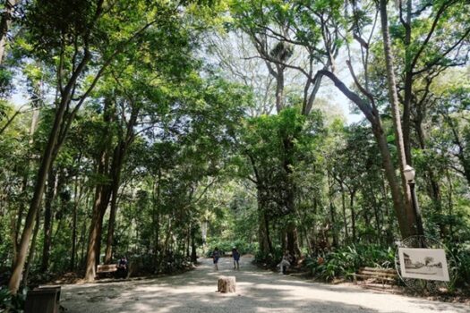 Parques e Praça da Av. Paulista tem ação no Dia do Internacional do Lixo Eletrônico