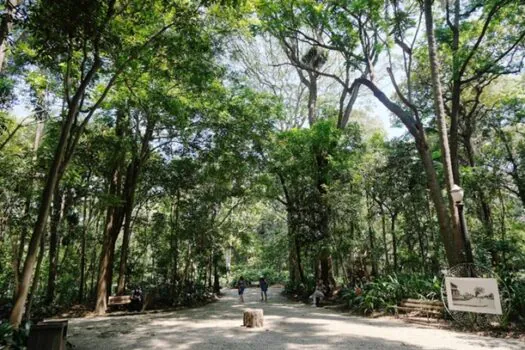 Parque Trianon celebra 132 anos com programação especial