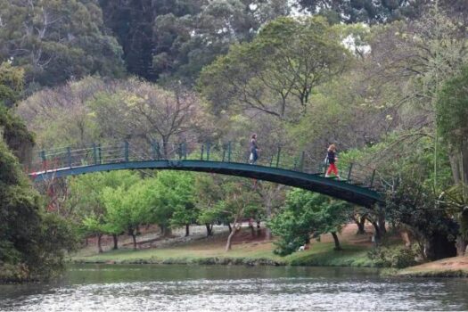 Corpo é encontrado dentro do lago do parque Ibirapuera