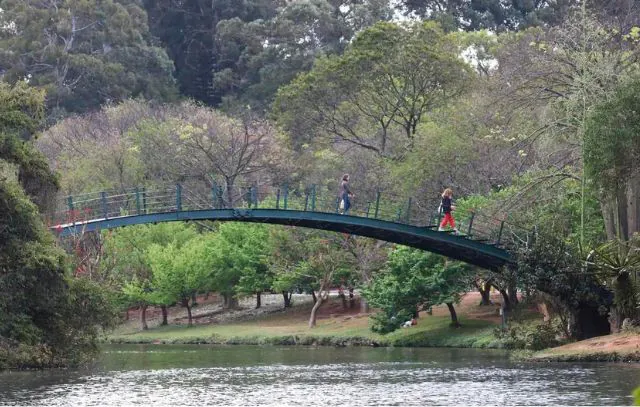 parque-do-ibirapuera