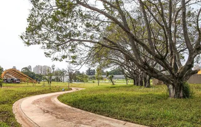 Dezembro 2012 – Parque Belém – São Paulo. Foto: Murillo Costantino