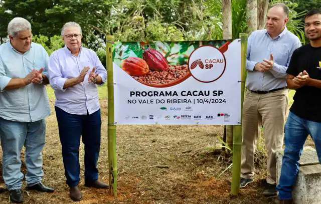 programa-cacau