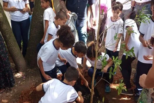 Prefeitura lança o Projeto Refresca SP em parceria com o Instituto Alana