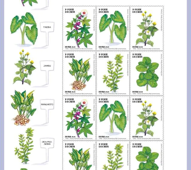 Plantas alimentícias não convencionais são retratadas em selo pelos Correios
