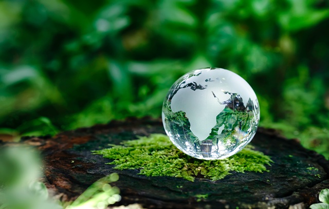 Glass,Globe,In,The,Green,Forest,With,Sunlight,For,The