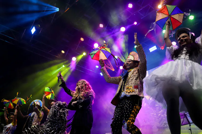 Elba Ramalho em performance com o grupo Tô Ligado, Visse, de Santo André