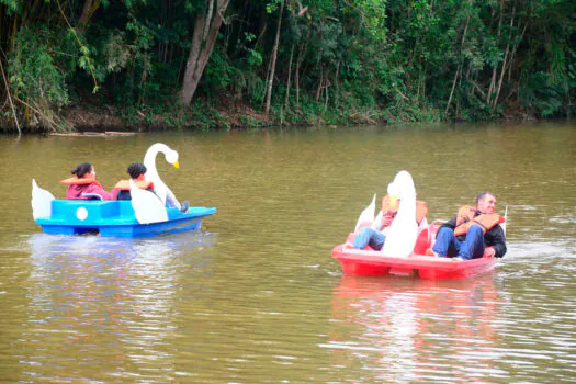 Pedalinho do Parque do Pedroso leva diversão para mais de 3 mil pessoas