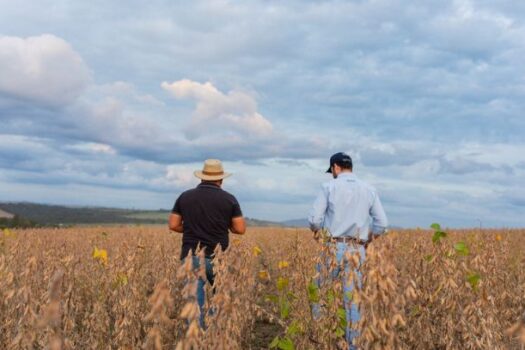 BASF acelera o desenvolvimento de soluções para os principais sistemas de cultivo do Brasil