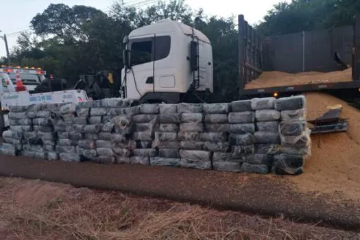 Polícia apreende quase 3 toneladas de maconha em carga de soja no interior de SP