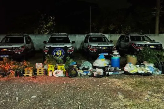 Polícia Militar encontra ‘casa bomba’ com mais de 700 porções de droga em São Paulo