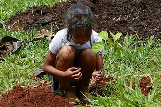 Estudo revela efetividade das ações de conservação ambiental