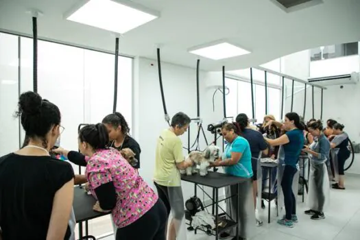 Curso de Banho e Tosa da Escola de Saúde e Bem-Estar Animal de São Caetano inicia aulas práticas