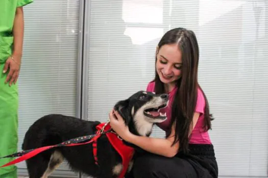 Animais resgatados aguardam por novo lar em Feira de Adoção que será realizada em Itu