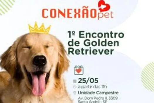 Dr. Hato promove encontro de Golden Retrievers em Santo André