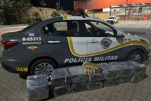 Homem é preso com 268 kg de maconha escondidos em caminhão-baú