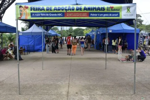 Feira disponibiliza 169 animais para adoção em Santo André