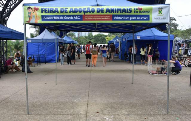 Feira disponibiliza 183 animais para adoção no Parque Central