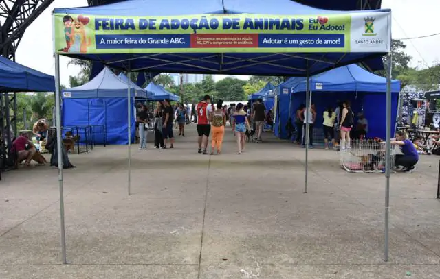 feira-de-adocao