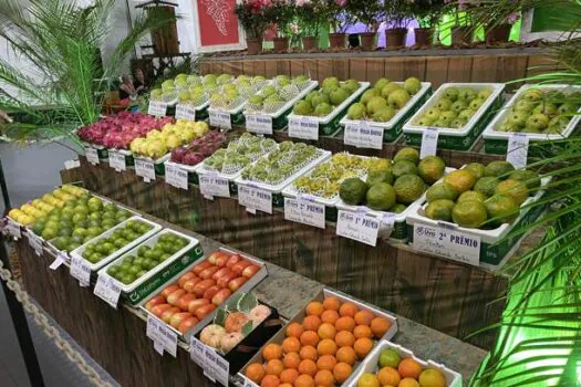 Festas que promovem frutas em SP atraem público próximo a 1 milhão