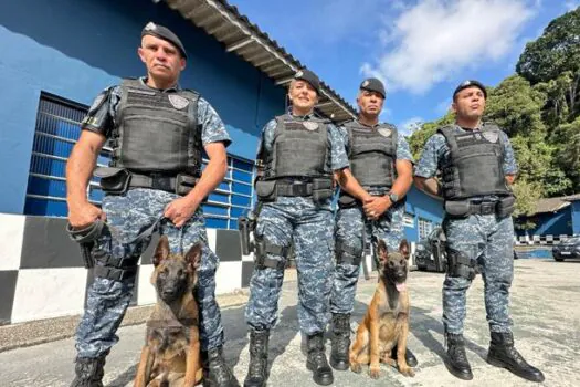 GCM de Ribeirão Pires recebe doação de dois novos cães para reforçar efetivo do Canil