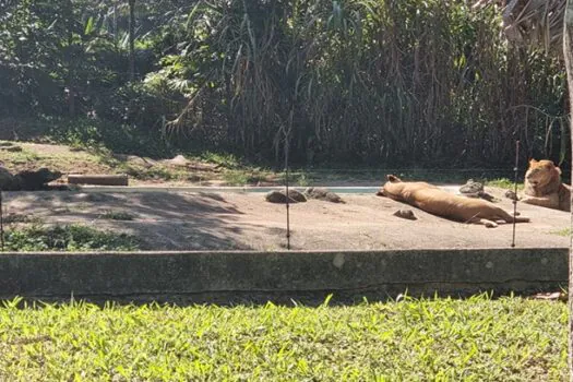 Jardim Botânico e Zoológico de São Paulo são opções de lazer para curtir no feriado de Corpus Christi