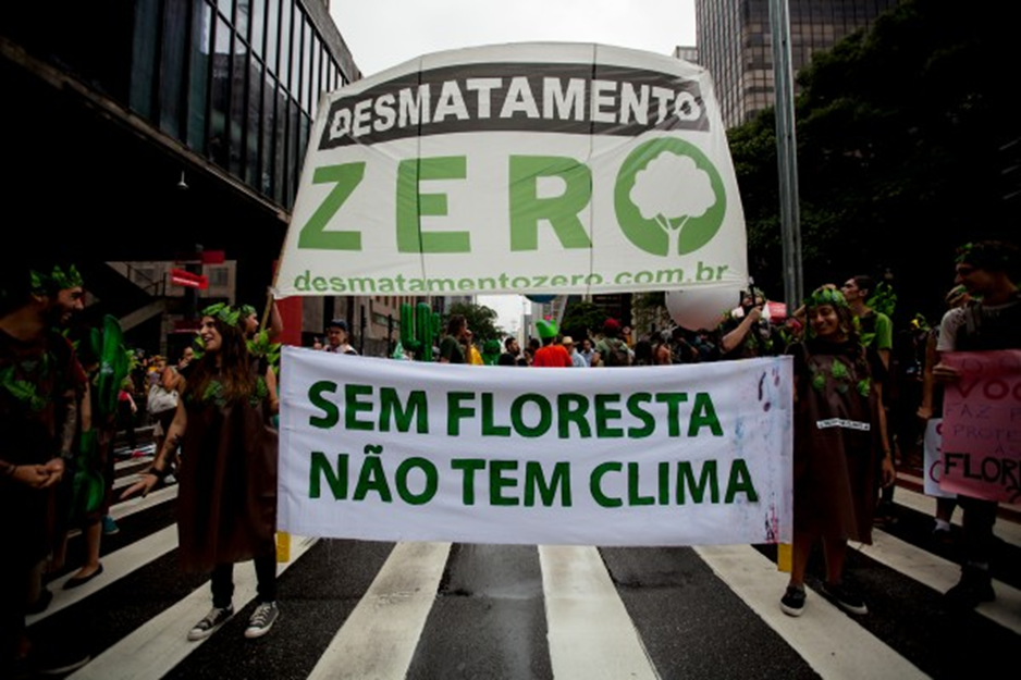 Manifestação pelo clima na Avenida Paulista