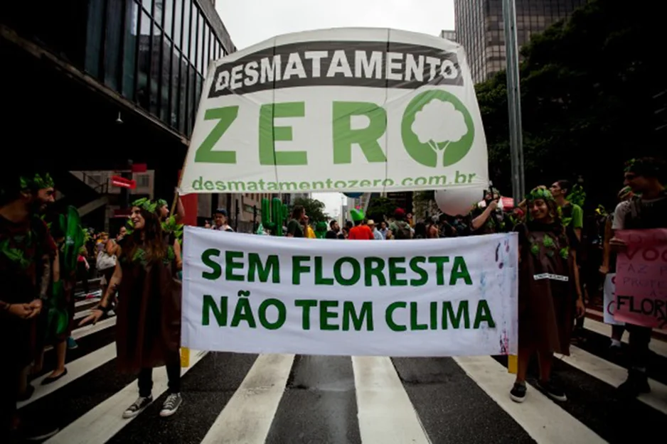 Manifestação pelo clima na Avenida Paulista